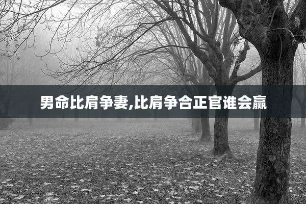 男命比肩争妻,比肩争合正官谁会赢