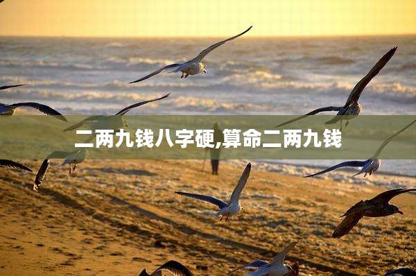 二两九钱八字硬,算命二两九钱