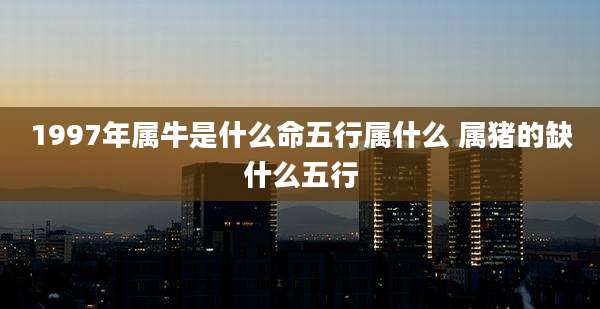 1997年属牛是什么命五行属什么 属猪的缺什么五行