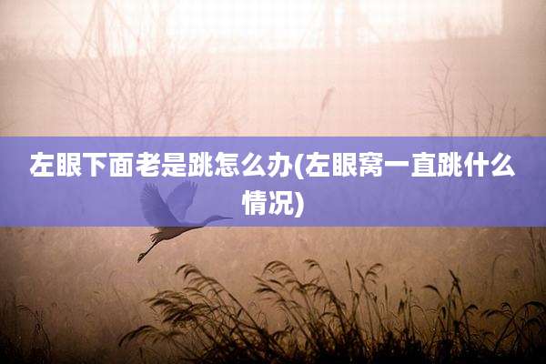 左眼下面老是跳怎么办(左眼窝一直跳什么情况)
