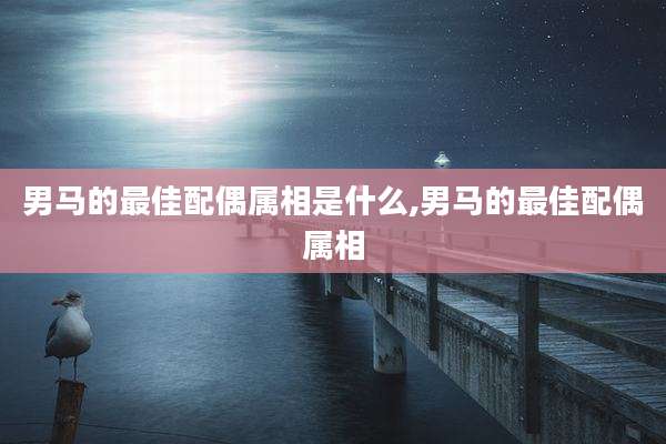 男马的最佳配偶属相是什么,男马的最佳配偶属相