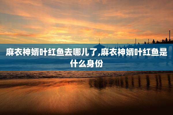 麻衣神婿叶红鱼去哪儿了,麻衣神婿叶红鱼是什么身份