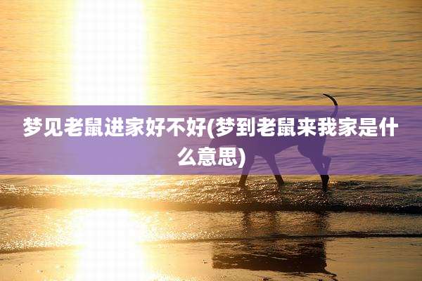 梦见老鼠进家好不好(梦到老鼠来我家是什么意思)