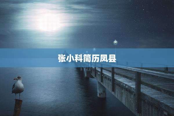 张小科简历凤县