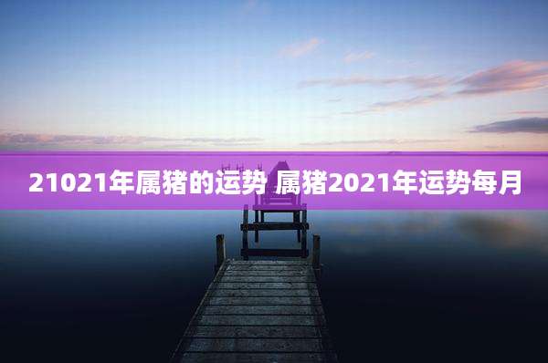 21021年属猪的运势 属猪2021年运势每月