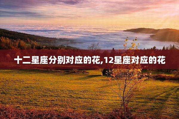 十二星座分别对应的花,12星座对应的花