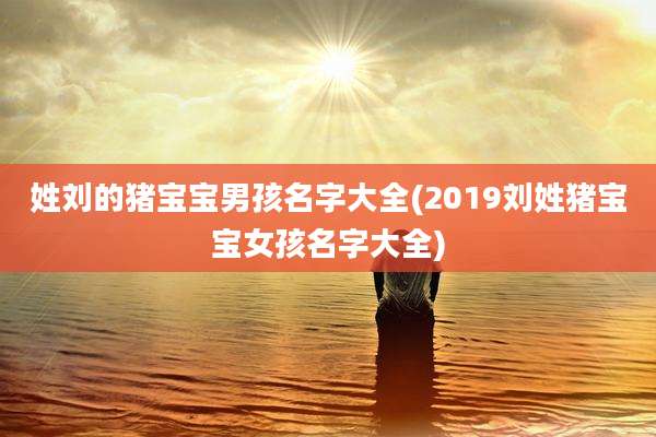 姓刘的猪宝宝男孩名字大全(2019刘姓猪宝宝女孩名字大全)