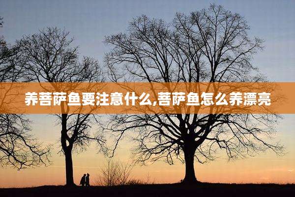 养菩萨鱼要注意什么,菩萨鱼怎么养漂亮