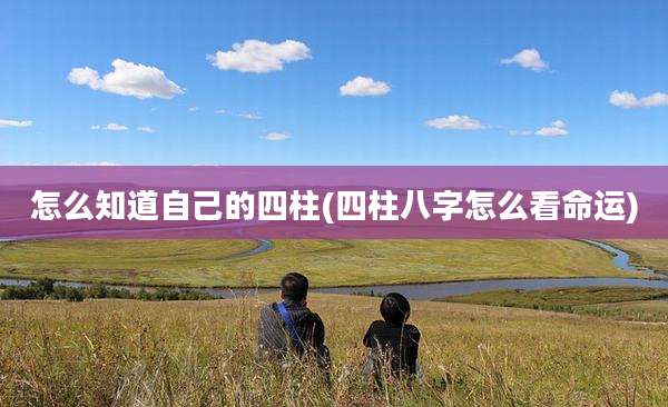 怎么知道自己的四柱(四柱八字怎么看命运)