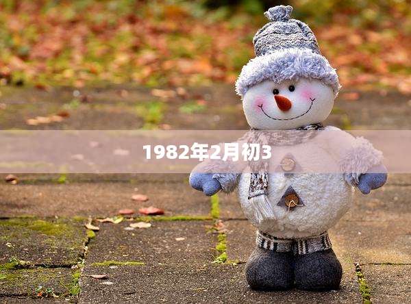 1982年2月初3