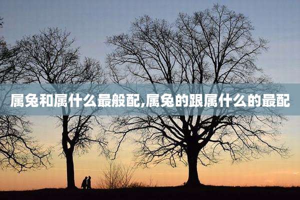 属兔和属什么最般配,属兔的跟属什么的最配