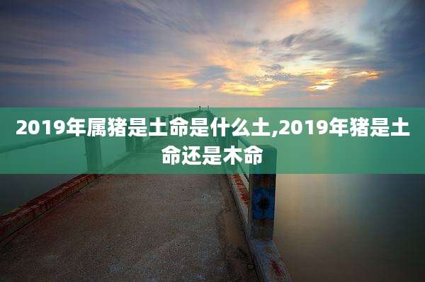 2019年属猪是土命是什么土,2019年猪是土命还是木命