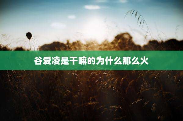 谷爱凌是干嘛的为什么那么火