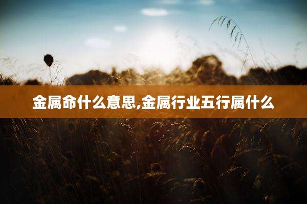 金属命什么意思,金属行业五行属什么