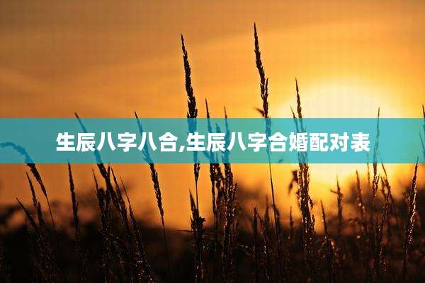 生辰八字八合,生辰八字合婚配对表
