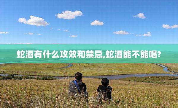 蛇酒有什么攻效和禁忌,蛇酒能不能喝?