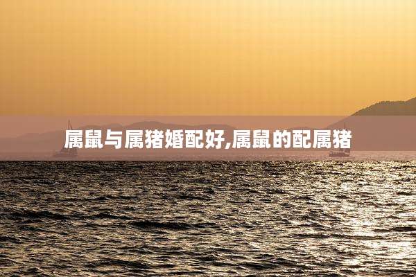 属鼠与属猪婚配好,属鼠的配属猪