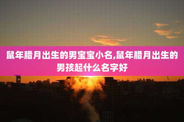 鼠年腊月出生的男宝宝小名,鼠年腊月出生的男孩起什么名字好