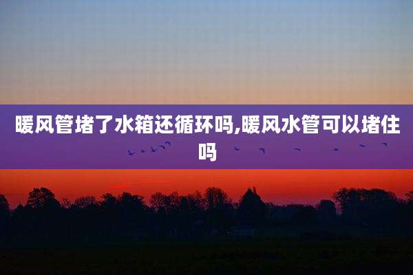 暖风管堵了水箱还循环吗,暖风水管可以堵住吗