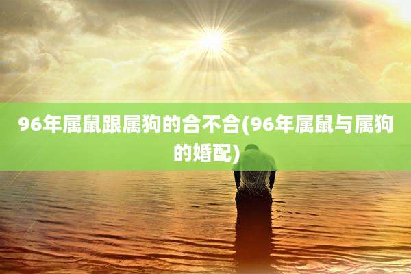 96年属鼠跟属狗的合不合(96年属鼠与属狗的婚配)