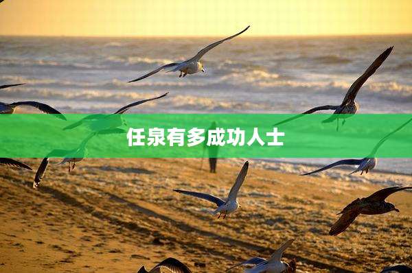 任泉有多成功人士