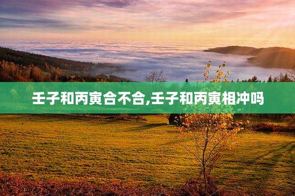 壬子和丙寅合不合,壬子和丙寅相冲吗