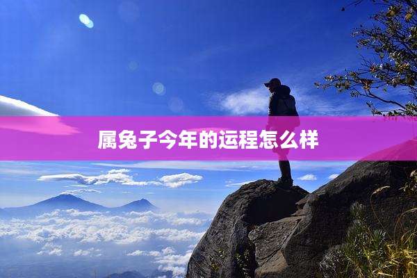 属兔子今年的运程怎么样
