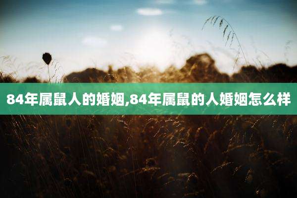 84年属鼠人的婚姻,84年属鼠的人婚姻怎么样
