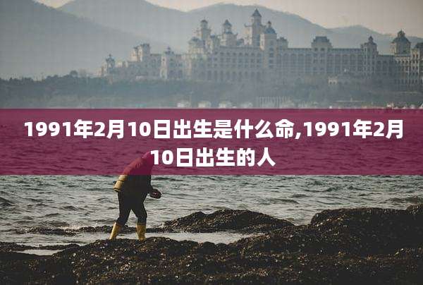 1991年2月10日出生是什么命,1991年2月10日出生的人