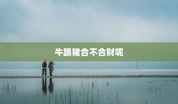 牛跟猪合不合财呢