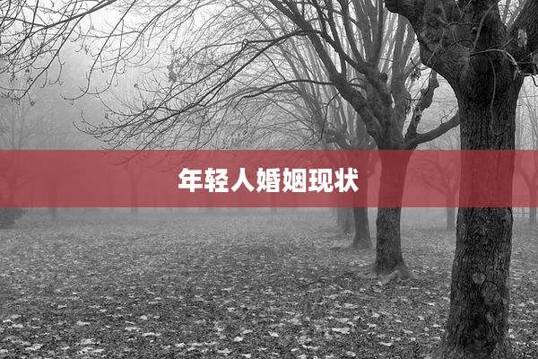 年轻人婚姻现状