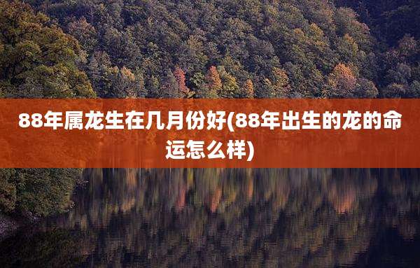 88年属龙生在几月份好(88年出生的龙的命运怎么样)