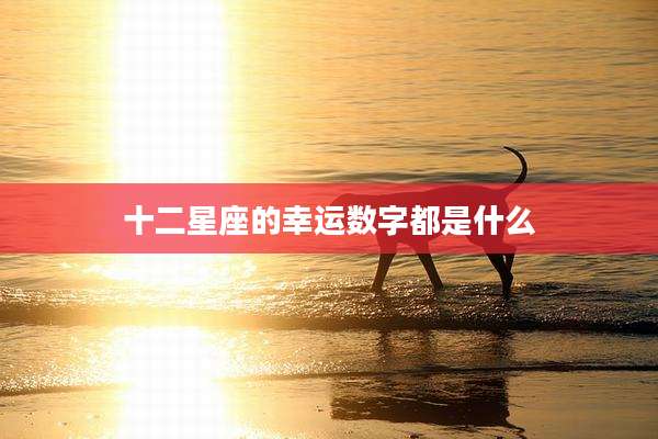 十二星座的幸运数字都是什么