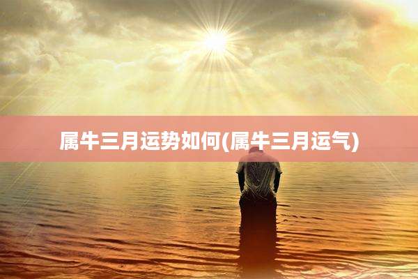 属牛三月运势如何(属牛三月运气)