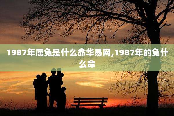 1987年属兔是什么命华易网,1987年的兔什么命