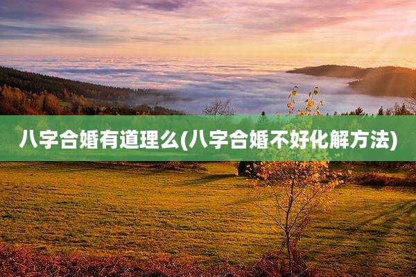 八字合婚有道理么(八字合婚不好化解方法)