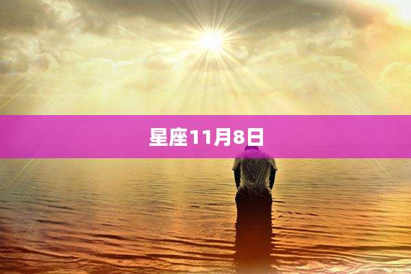 星座11月8日