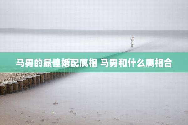 马男的最佳婚配属相 马男和什么属相合