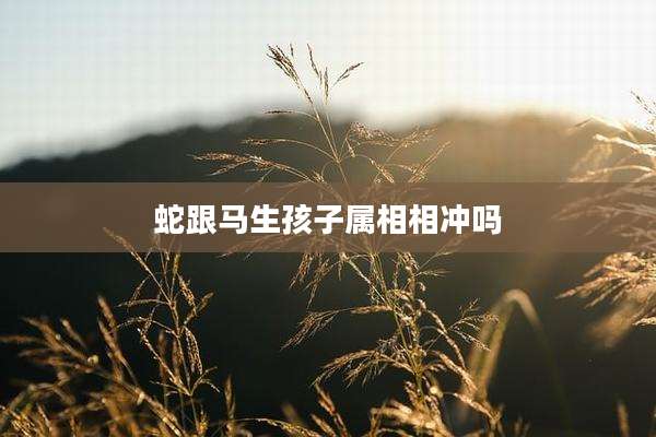 蛇跟马生孩子属相相冲吗