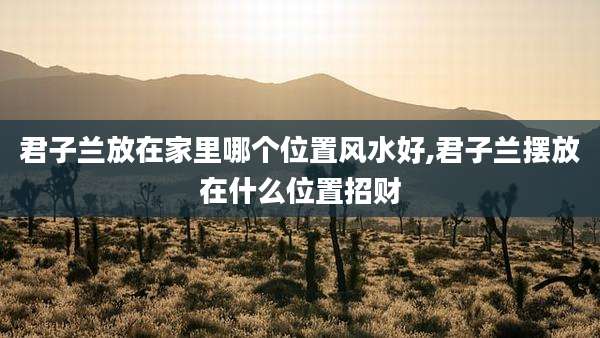 君子兰放在家里哪个位置风水好,君子兰摆放在什么位置招财
