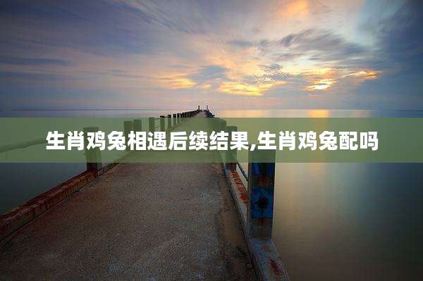 生肖鸡兔相遇后续结果,生肖鸡兔配吗