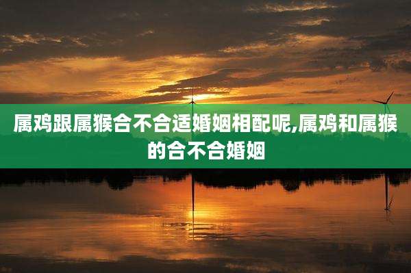 属鸡跟属猴合不合适婚姻相配呢,属鸡和属猴的合不合婚姻