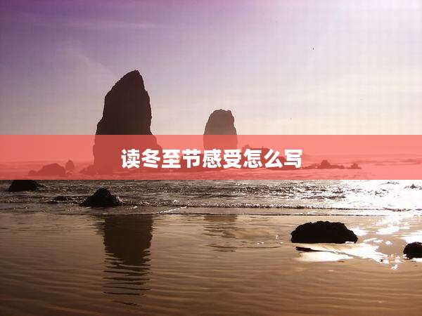 读冬至节感受怎么写