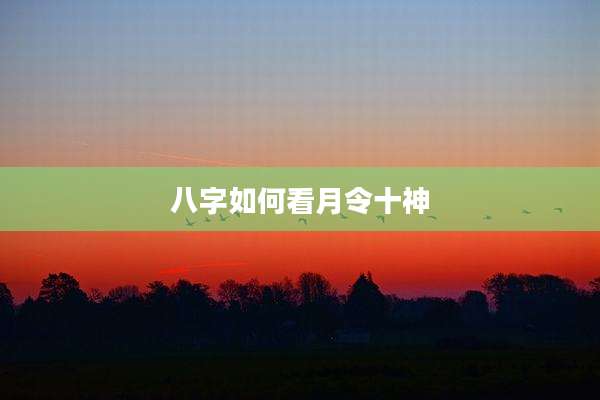 八字如何看月令十神