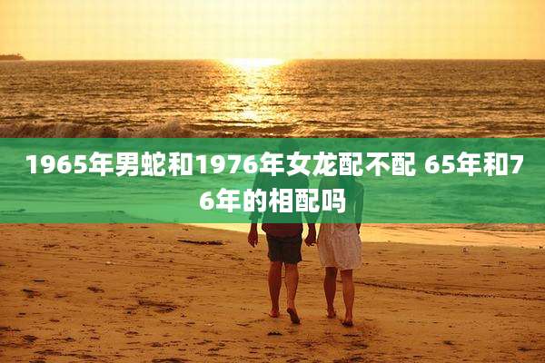 1965年男蛇和1976年女龙配不配 65年和76年的相配吗