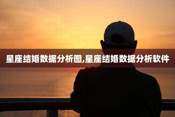 星座结婚数据分析图,星座结婚数据分析软件