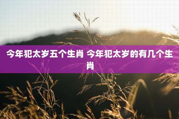 今年犯太岁五个生肖 今年犯太岁的有几个生肖