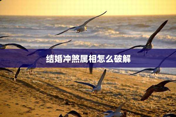 结婚冲煞属相怎么破解