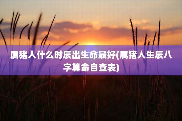 属猪人什么时辰出生命最好(属猪人生辰八字算命自查表)