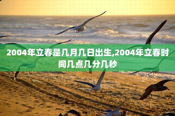 2004年立春是几月几日出生,2004年立春时间几点几分几秒